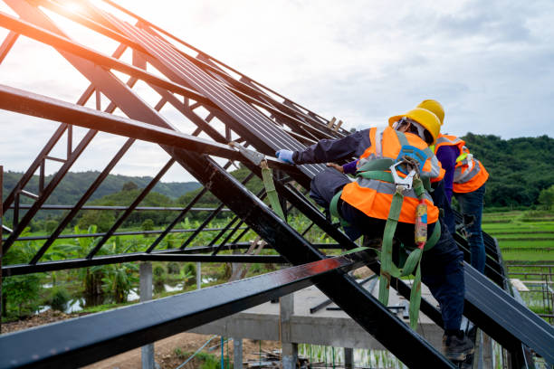 Roof Waterproofing Services in Merrill, IA