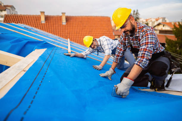 Best Roof Repair Services  in Merrill, IA