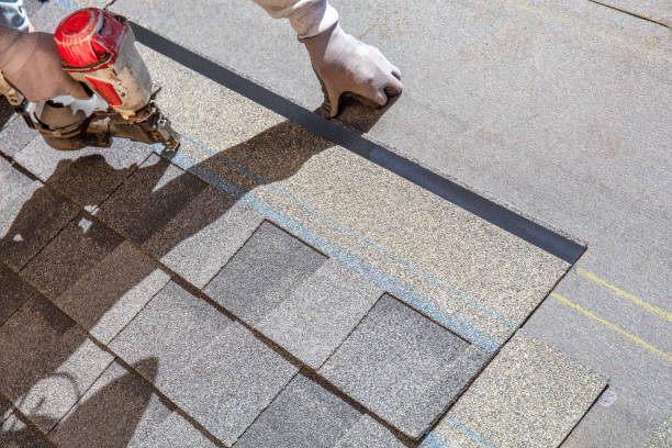 Best Roof Maintenance Services  in Merrill, IA