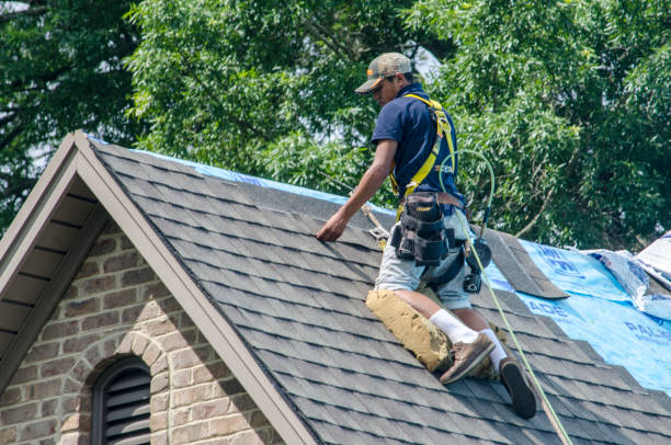 Best Roof Waterproofing Services  in Merrill, IA